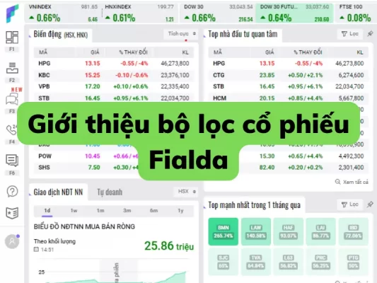 Giới thiệu chi tiết về bộ lọc cổ phiếu Fialda
