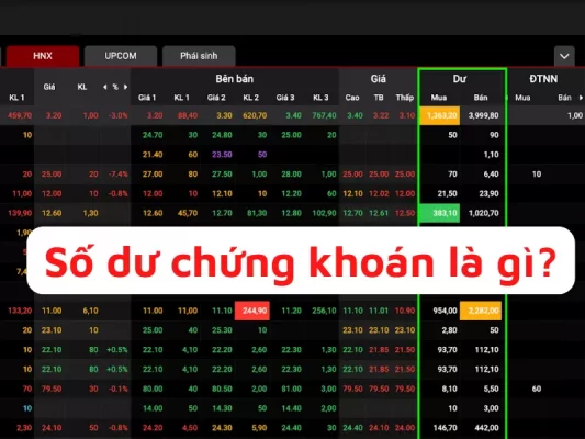 Số dư chứng khoán là gì, Dư bán, dư mua là gì, Số dư khả dụng là gì