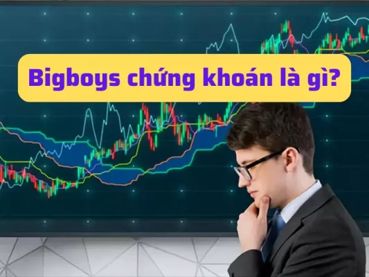 Bigboys chứng khoán là gì? Giới thiệu cơ bản về bigboys cổ phiếu