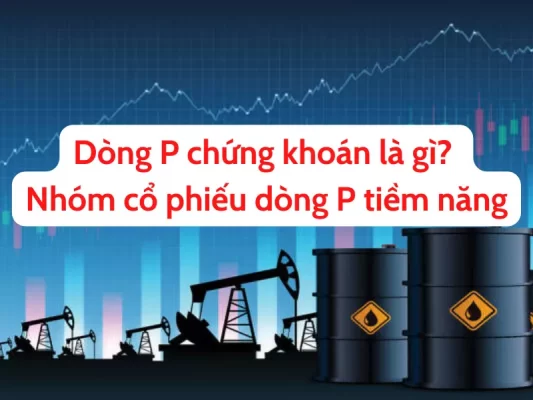 Dòng P trong chứng khoán là gì - Các nhóm cổ phiếu dòng P tiềm năng