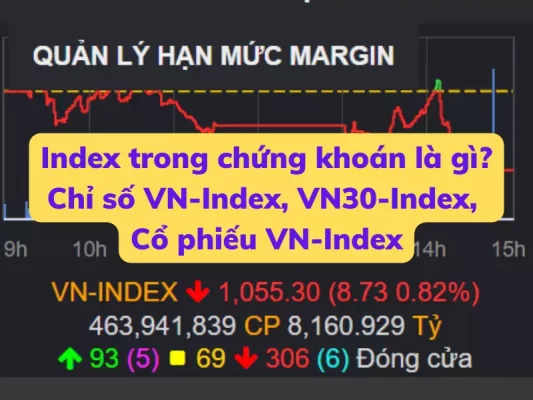 Index trong chứng khoán là gì, Chỉ số VN-Index, VN30-Index, Cổ phiếu VN-index
