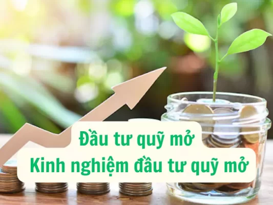 Đầu tư quỹ mở và kinh nghiệm đầu tư quỹ mở