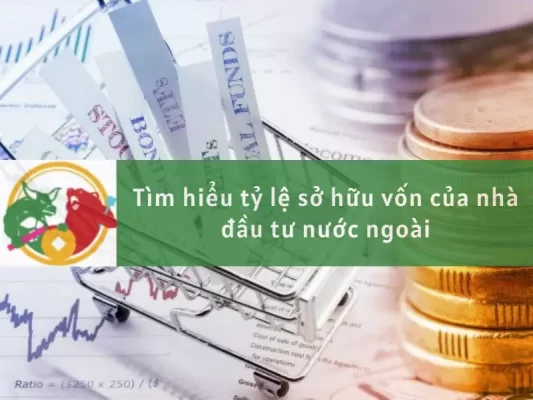 Tỷ lệ sở hữu vốn của nhà đầu tư nước ngoài