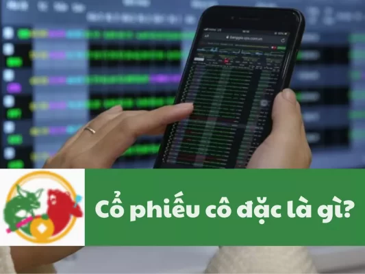 Cổ phiếu cô đặc là gì, Cách chọn cổ phiếu cô đặc tiềm năng