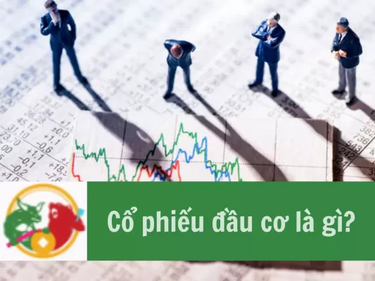 Cổ phiếu đầu cơ là gì,