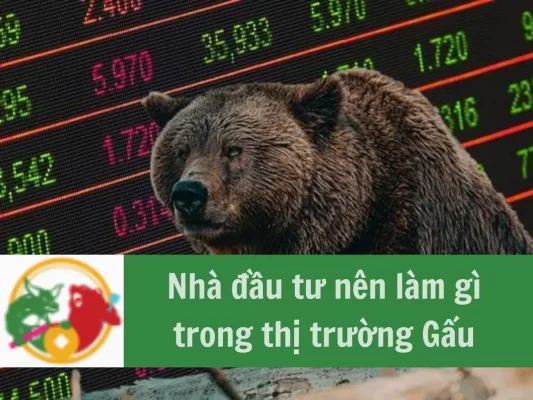 Thị Trường Gấu là gì, Nhà đầu tư nên làm gì trong thị trường gấu