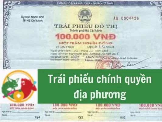 Trái phiếu chính quyền địa phương, đặc điểm, mục đích phát hành, trái phiếu rủi ro không
