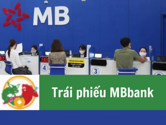 Trái phiếu MBbank là gì?, Phân loại và mục đích phát hành, kinh nghiệm đầu tư của trái phiếu ngân hàng MB