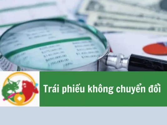 Trái phiếu không chuyển đổi là gì, Hồ sơ phát hành trái phiếu không chuyển đổi, Ưu nhược điểm trái phiếu không chuyển đổi