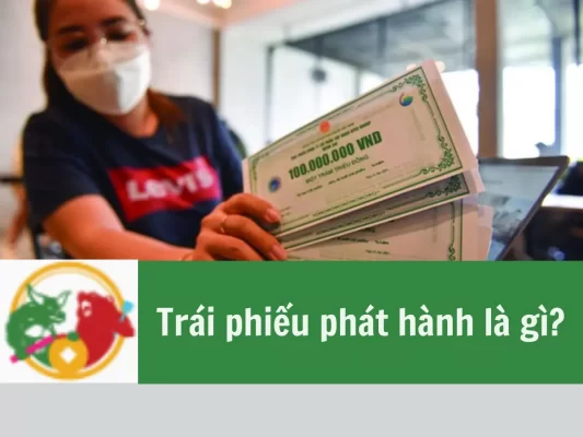 Trái phiếu phát hành là gì, Quy trình phát hành trái phiếu, Các khoản chi phí để trái phiếu phát hành