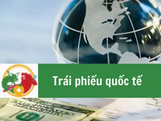 Trái phiếu quốc tế là gì, Phân loại trái phiếu quốc tế, Lưu ý khi đầu tư trái phiếu quốc tế