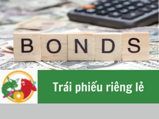 Trái phiếu riêng lẻ là gì, Quy trình phát hành trái phiếu riêng lẻ, Điều kiện phát hành trái phiếu riêng lẻ