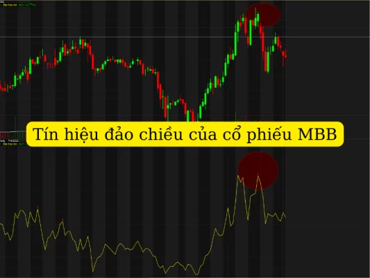 Chi tiết thể hiện Chỉ báo A/D tại thị trường Việt Nam