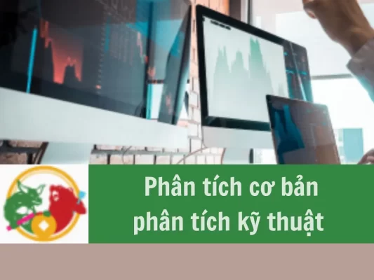 Phương thức phân tích cơ bản và phân tích kỹ thuật trong đầu tư