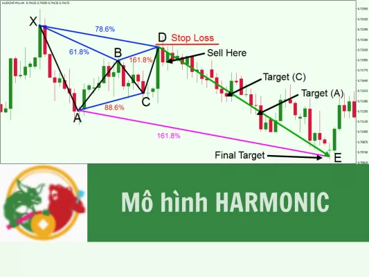 Mô hình Harmonic trong phân tích kỹ thuật chứng khoán