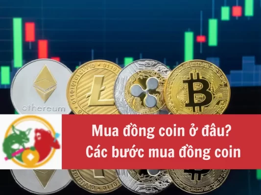 Tìm hiểu mua đồng coin ở đâu và các bước mua đồng coin