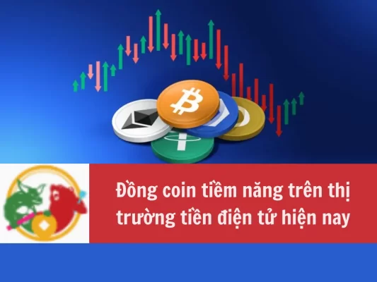 Top 5 Đồng coin tiềm năng trên thị trường tiện điện tử hiện nay