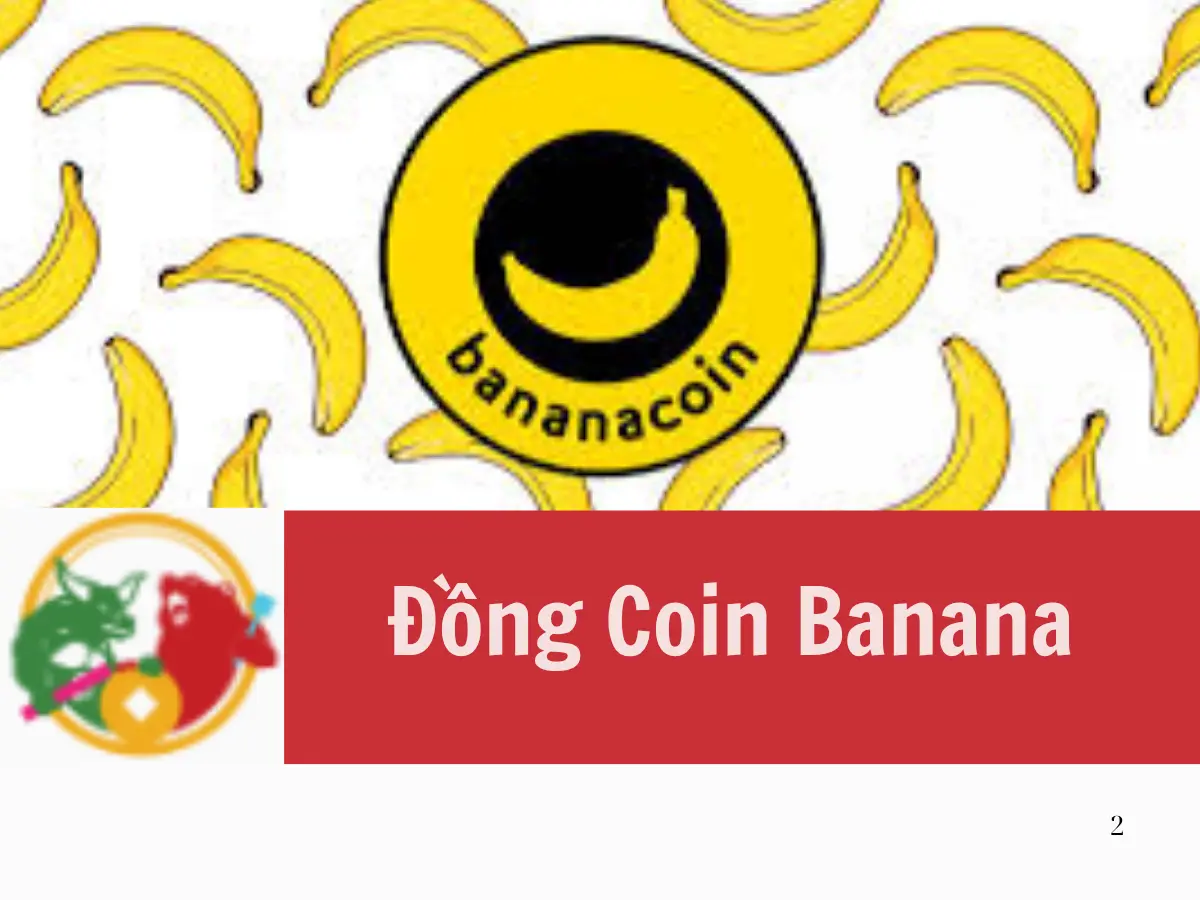 Đồng Coin Banana là gì Cơ chế hoạt động đồng coin Banana trên thị trường