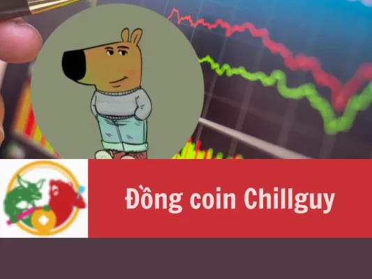 Đồng coin Chillguy là gì Cách thức mua đồng coin Chillguy trên thị trường Việt Nam