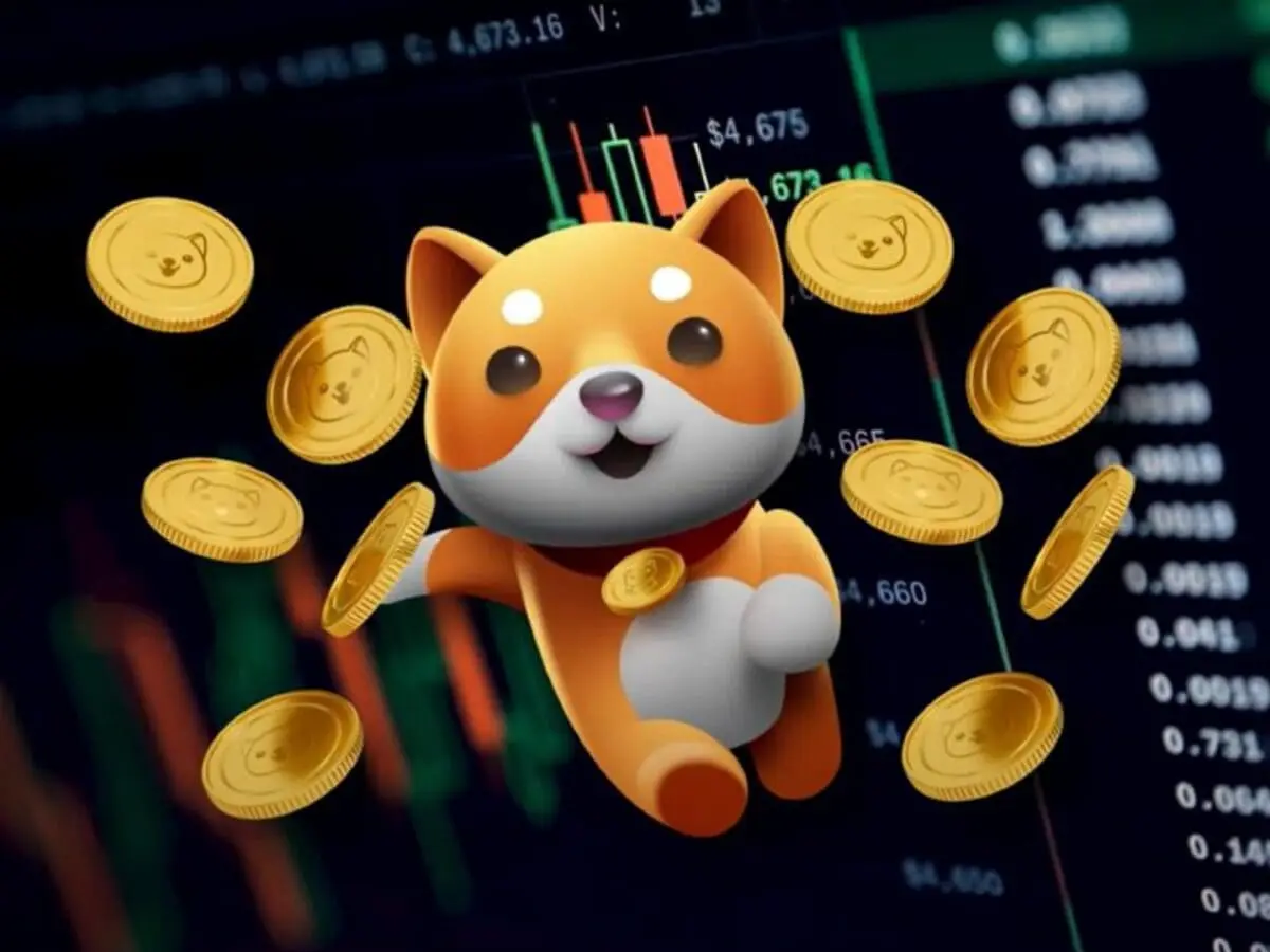 Thông tin cơ bản về đồng coin BabyDoge