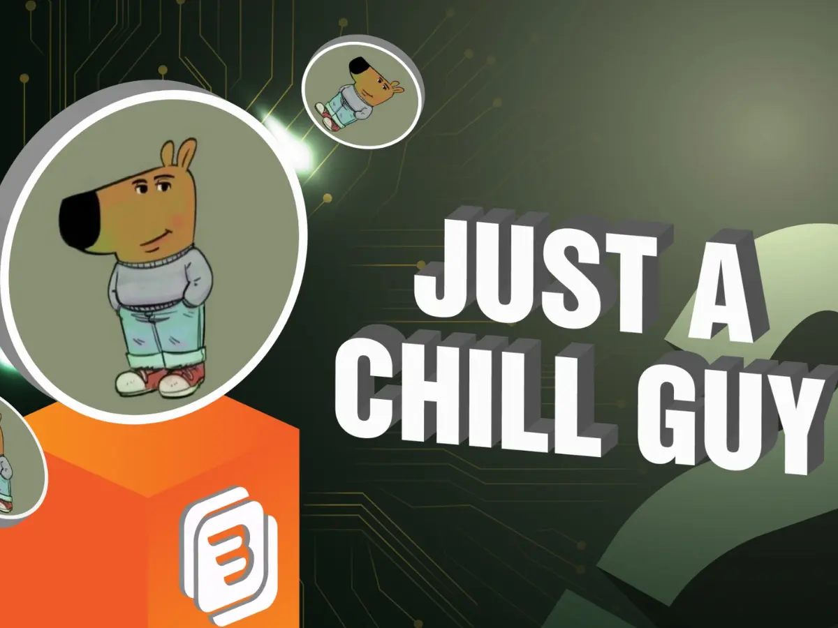 Thông tin cơ bản về đồng coin ChillGuy