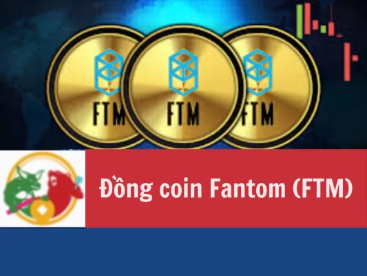 Đồng coin Fantom là gì, Ưu điểm, cơ hội và rủi ro