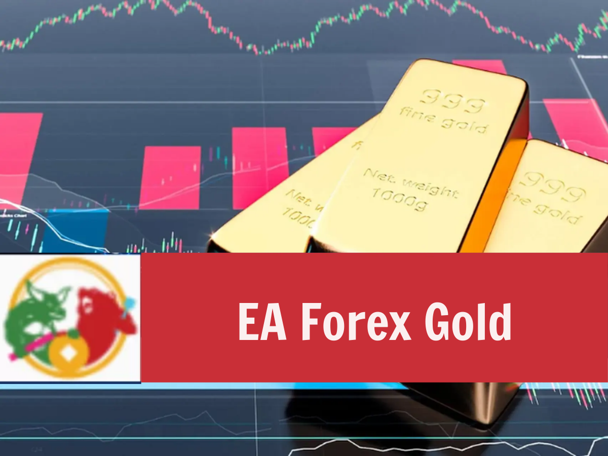 EA Forex Gold và Những Điều Cần Biết Trước Khi Sử Dụng EA Forex Gold