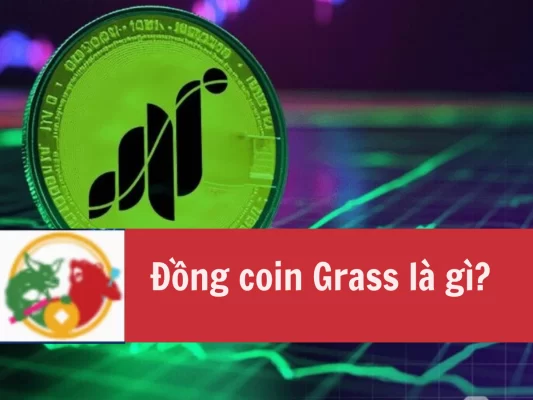 Đồng coin Grass là gì Tiềm năng tăng trưởng trong tương lai