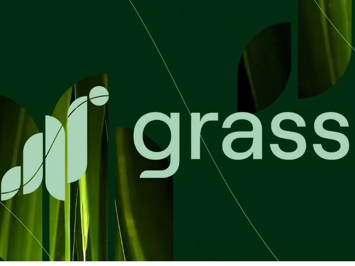 Tìm hiểu đồng coin Grass